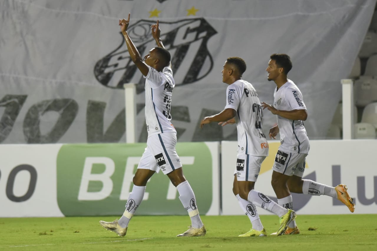 Odair Hellman admite pior atuação e pede desculpas ao torcedor do Santos -  Diário do Peixe