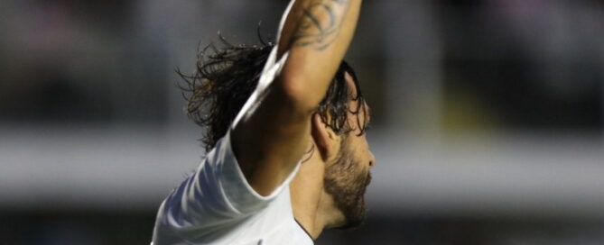 Santos Novorizontino Fernandes