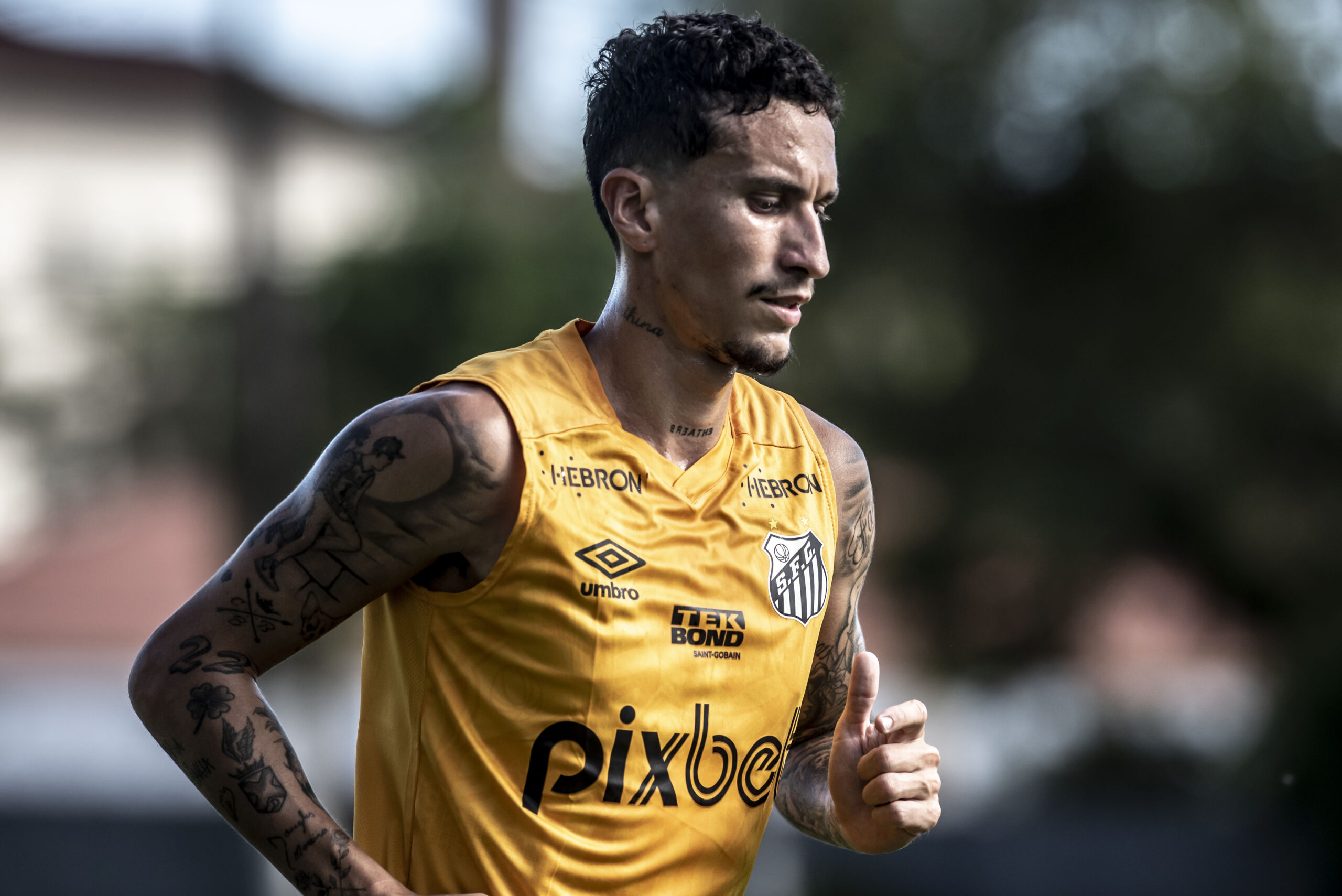 CHEGANDO? Jornalista informa situação de Dodi