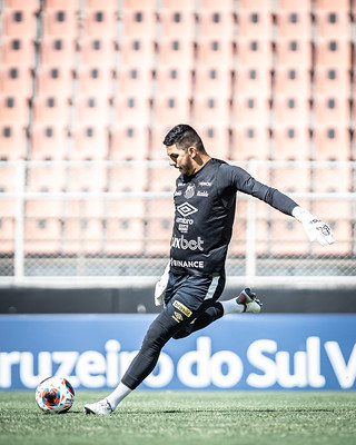 Odair Hellman admite pior atuação e pede desculpas ao torcedor do Santos -  Diário do Peixe