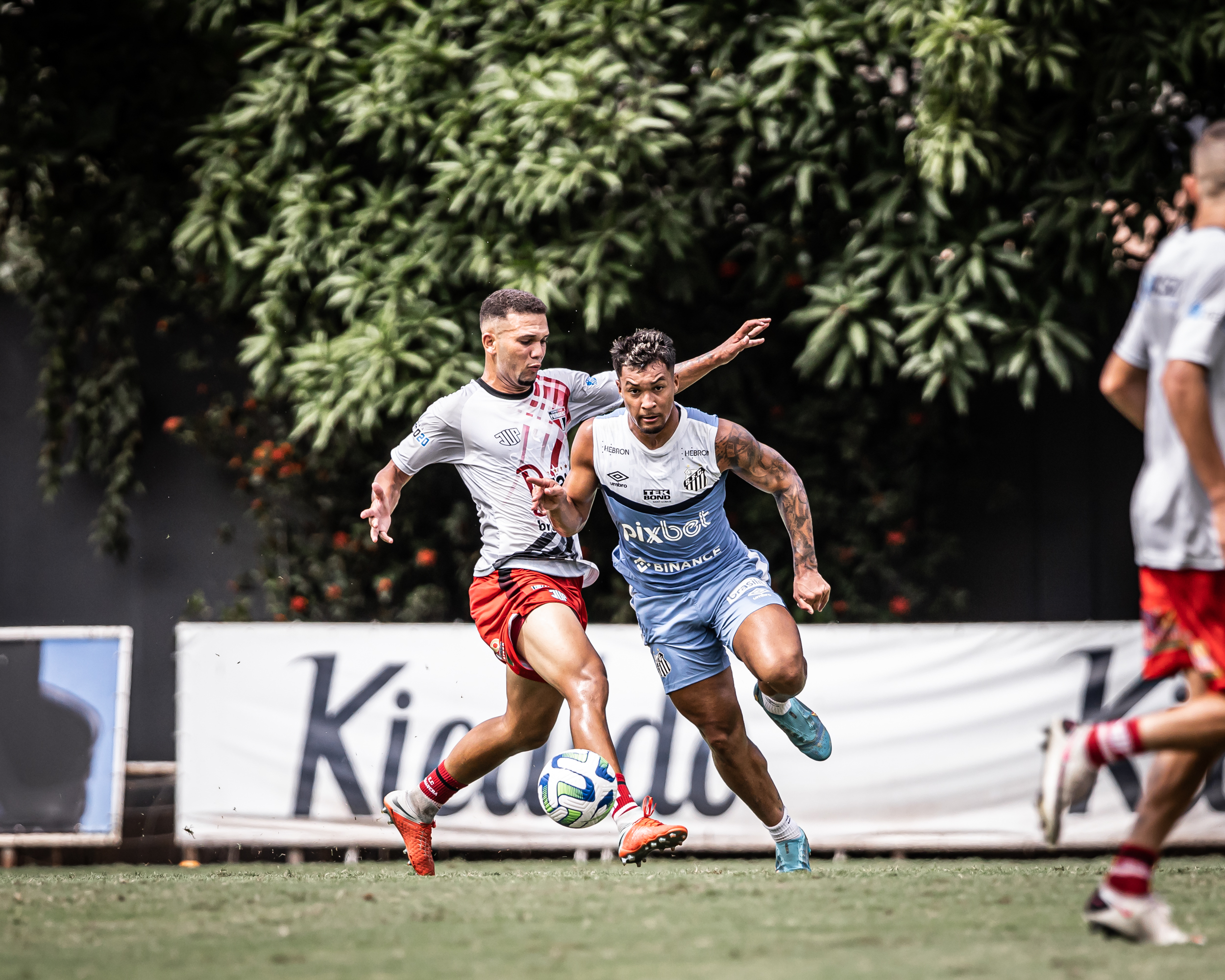 VÍDEO Confira os gols da vitória do Santos no jogotreino contra o