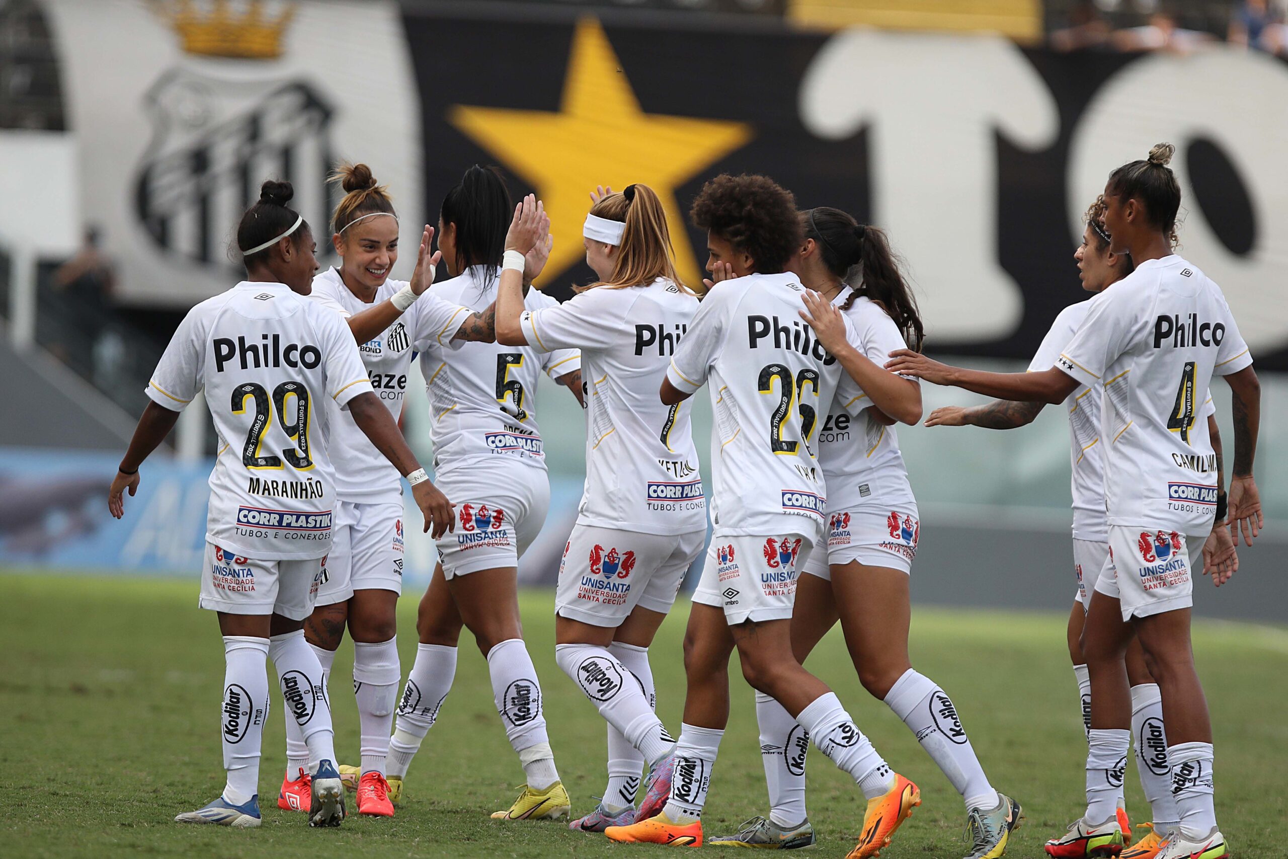 Sereias recebem o Palmeiras pela primeira final do Paulista Feminino -  Diário do Peixe