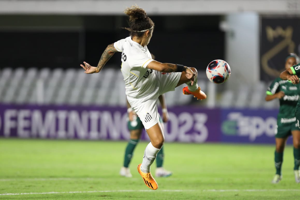 Sereias recebem o Palmeiras pela primeira final do Paulista Feminino -  Diário do Peixe