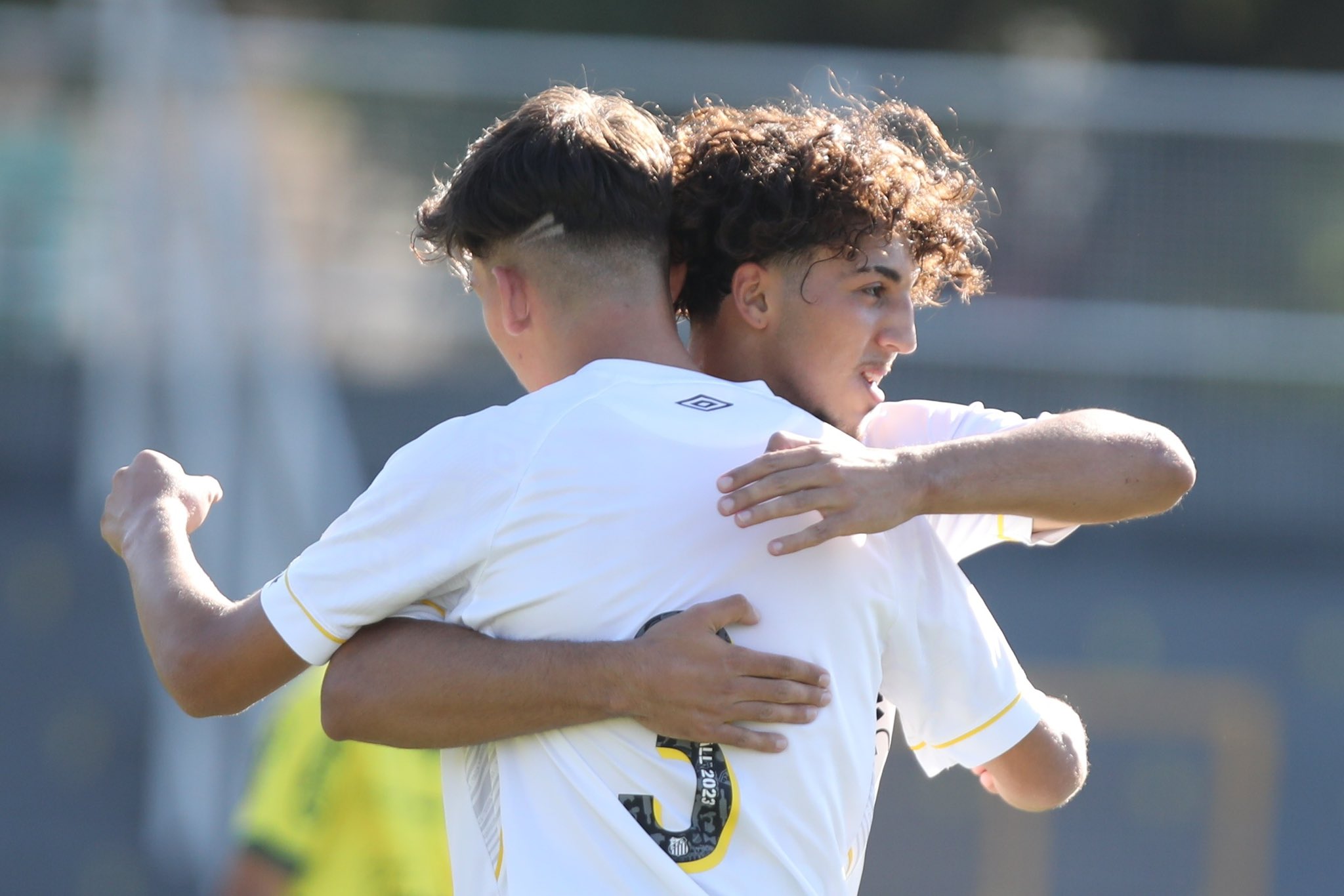 Odair Hellman admite pior atuação e pede desculpas ao torcedor do Santos -  Diário do Peixe