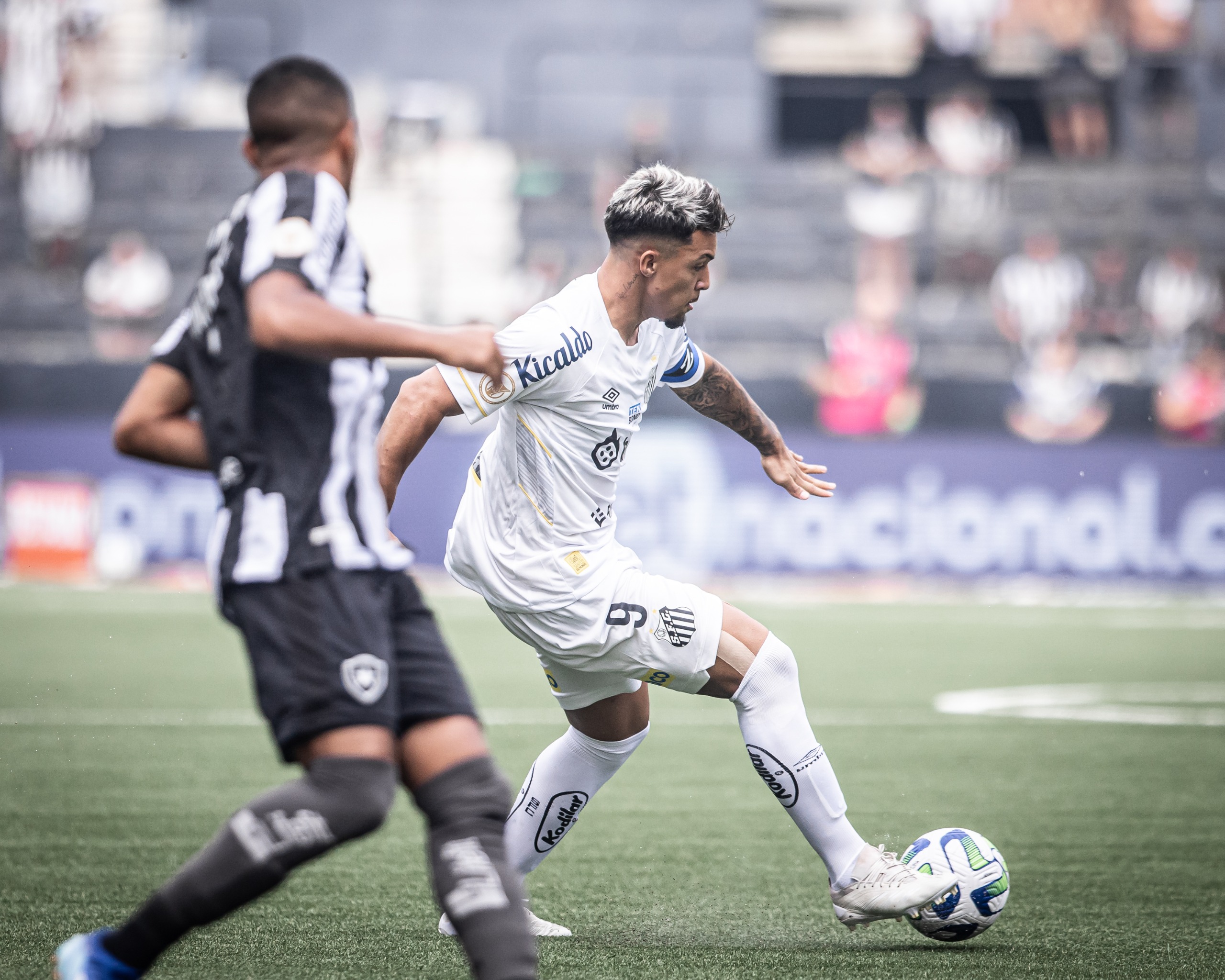 Botafogo faz dois em três minutos, empata com Santos e abre 11 pontos na  ponta do Brasileirão