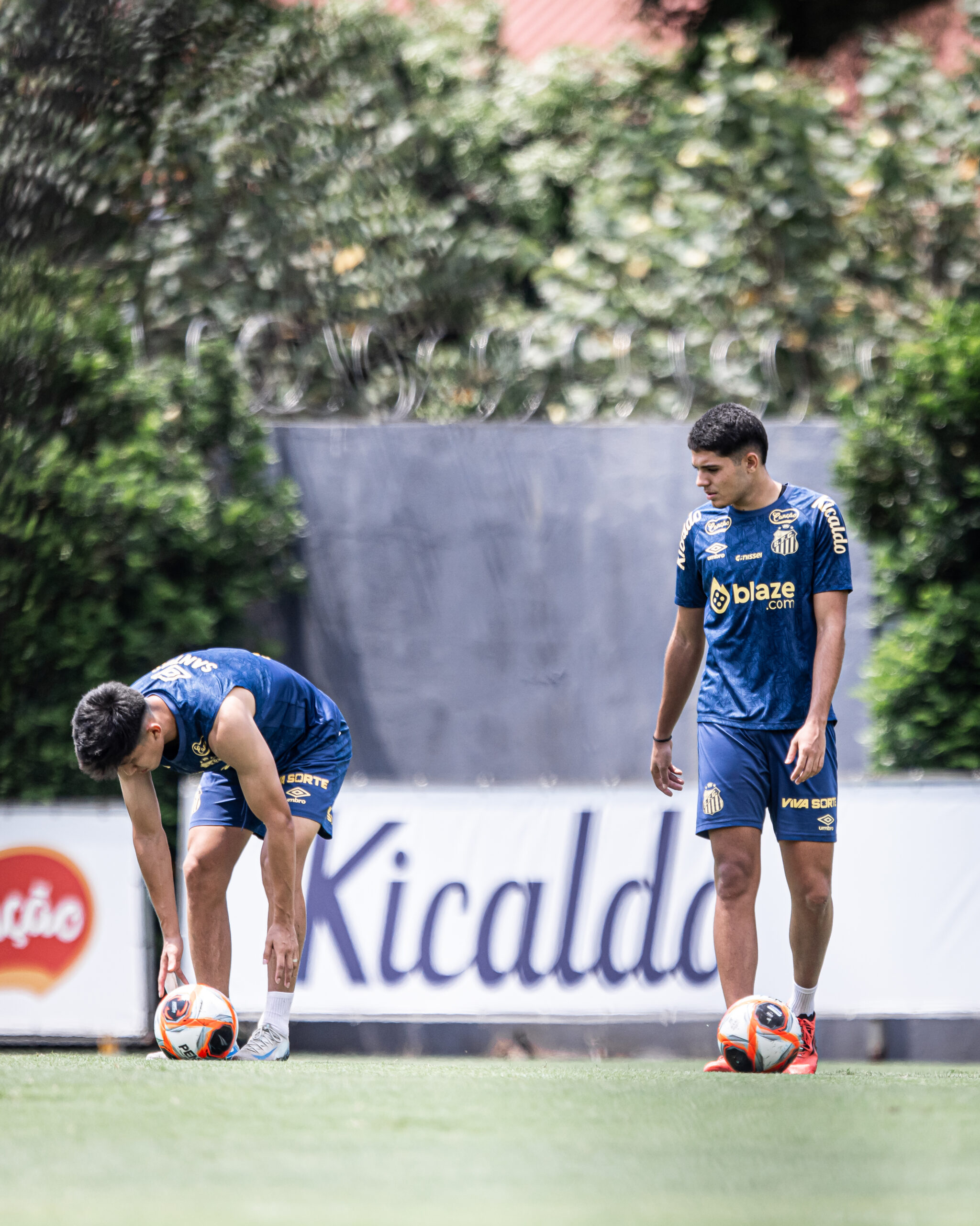 Velo Clube x Santos: Prováveis escalações para o duelo deste sábado (25) - Diário do Peixe