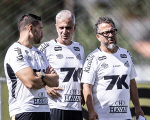 Saiba o que o Santos precisa para sair da zona de rebaixamento no Brasileirão nesta rodada