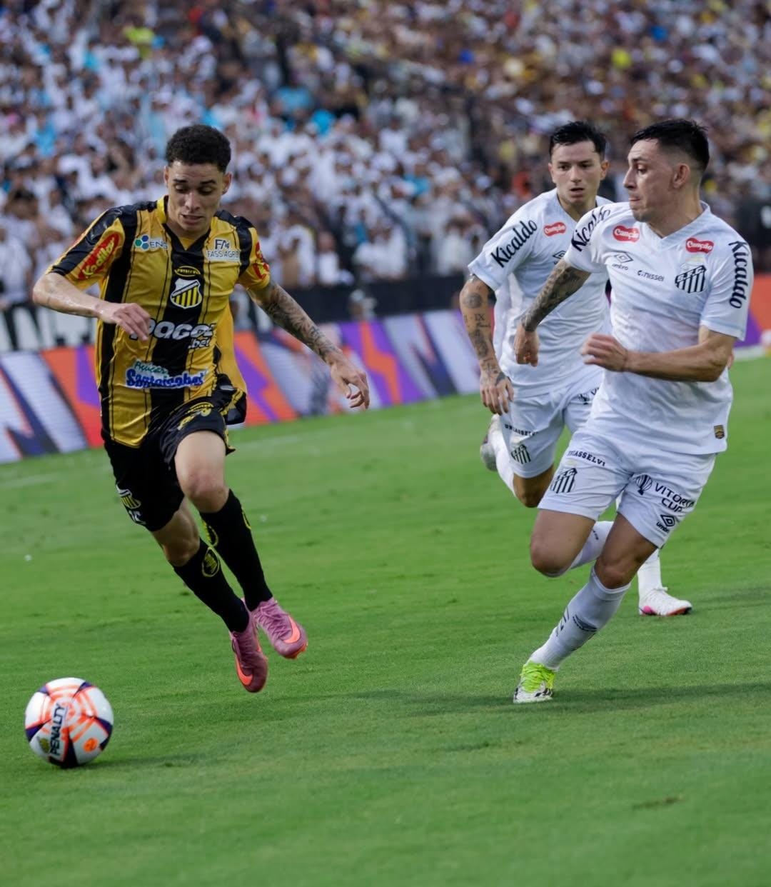 Santos sofre gol no último lance e é eliminado pelo Novorizontino nas quartas do Paulistão